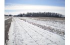 Property photo 15 - 76 Acres Offered in 4 Tracts